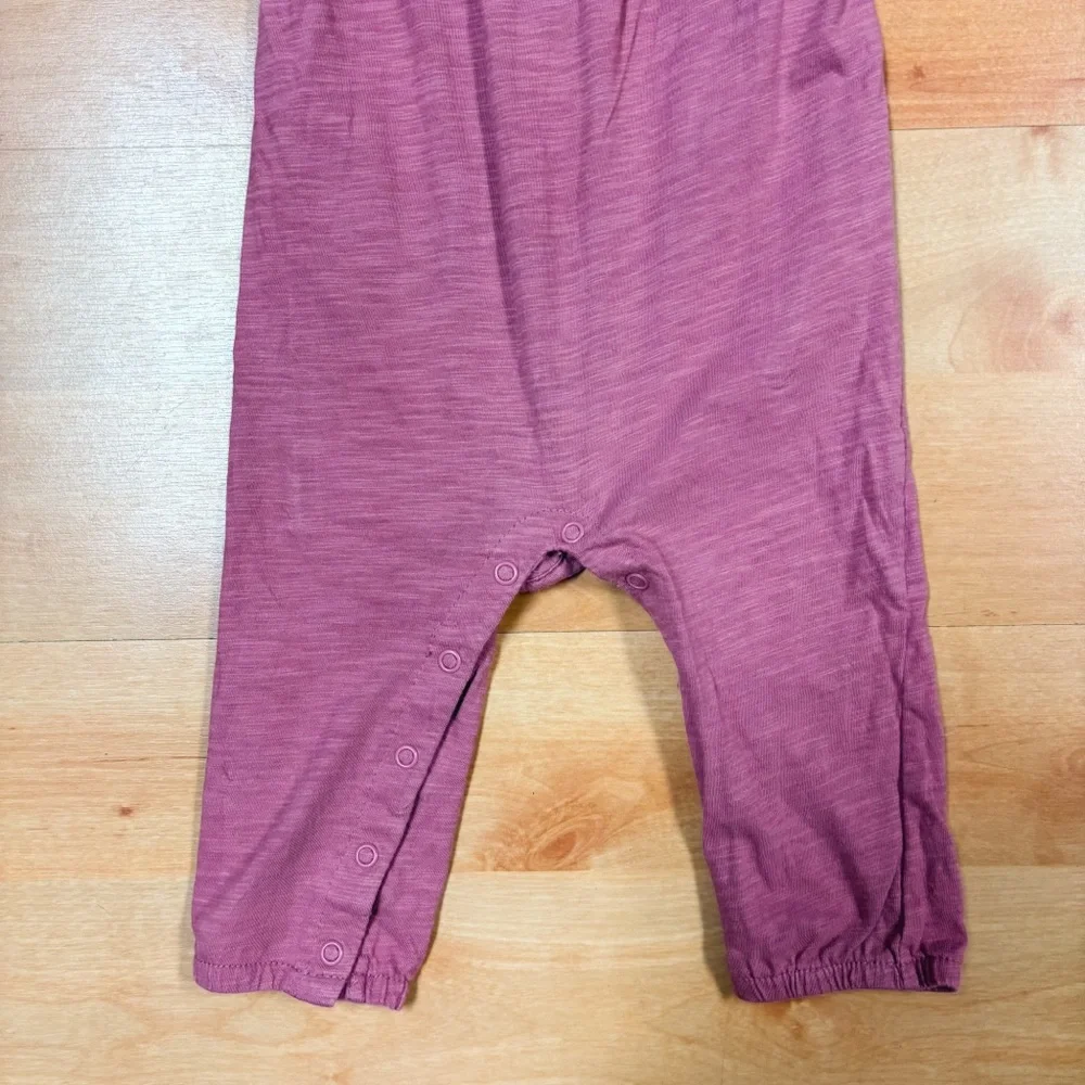 Carters Pink/Mauve Boho Ruffle Sleeve Embroidered Jumpsuit Size 12M